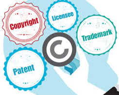 Intellectual Property Intellectual Property